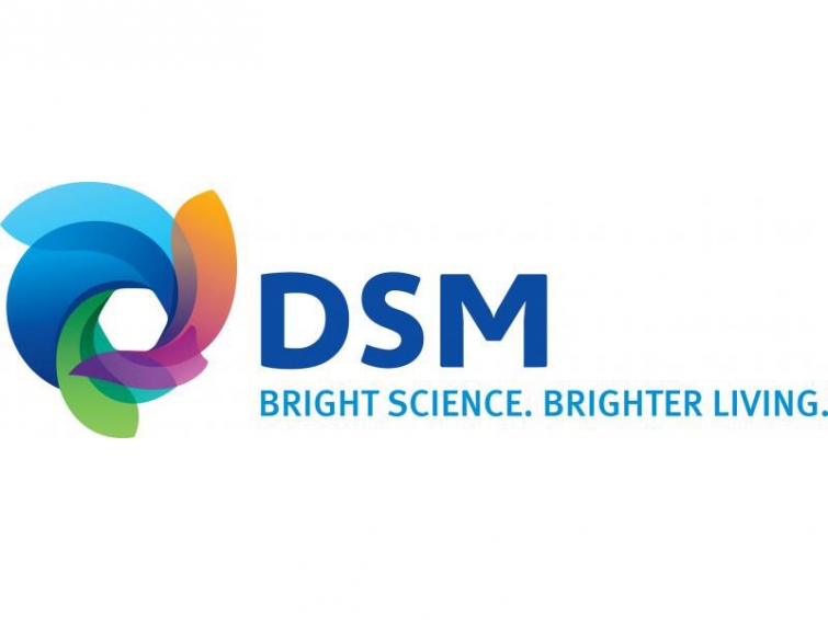 dsm.jpg