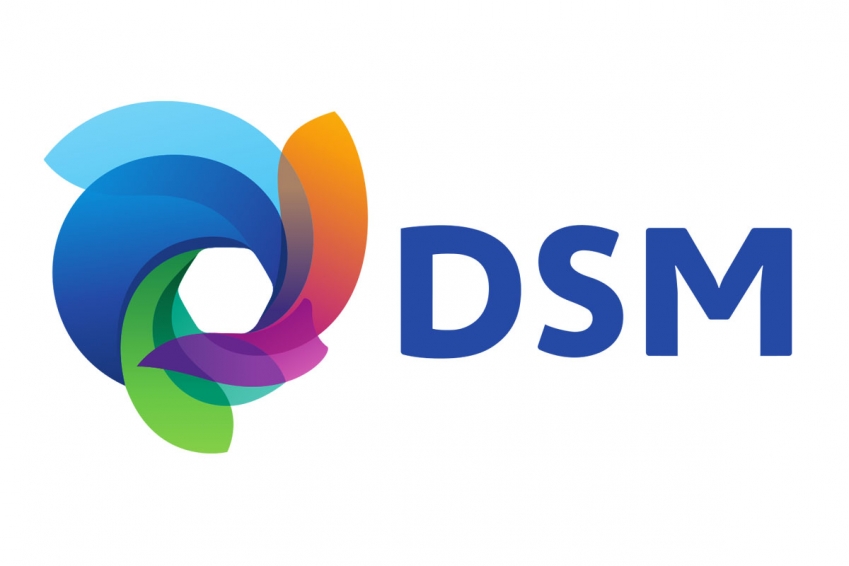 dsm.jpg